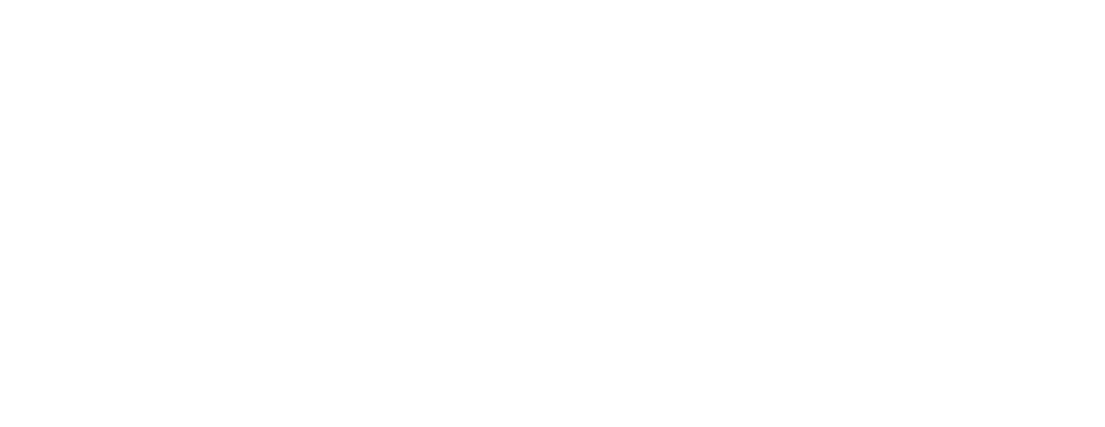 FAC — FIDELIS Advisory & Consulting